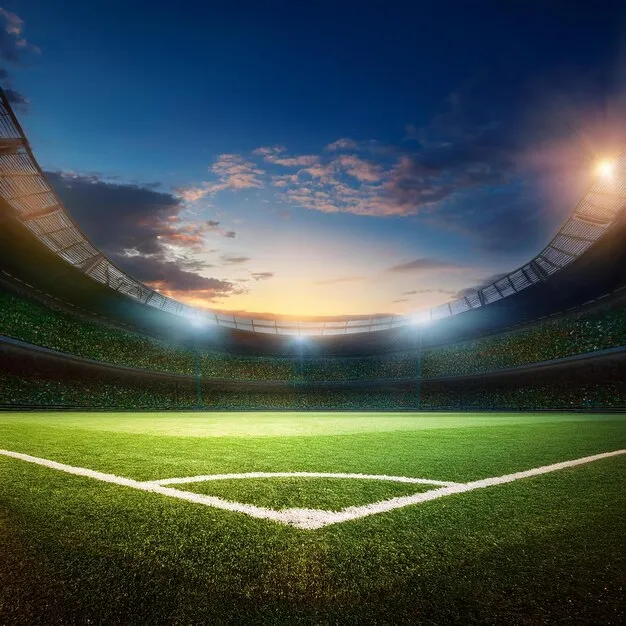 K体育APP界面预览