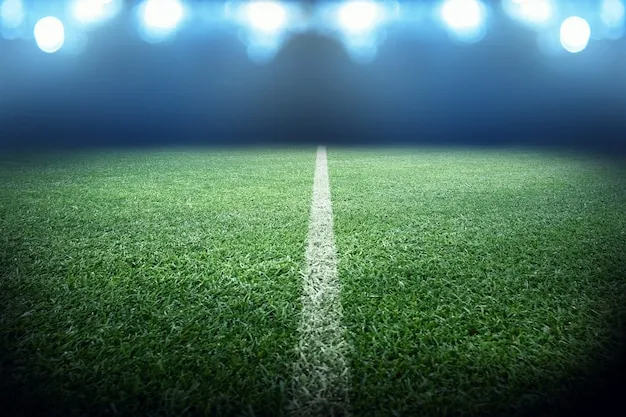 K体育官方网站 运动视觉